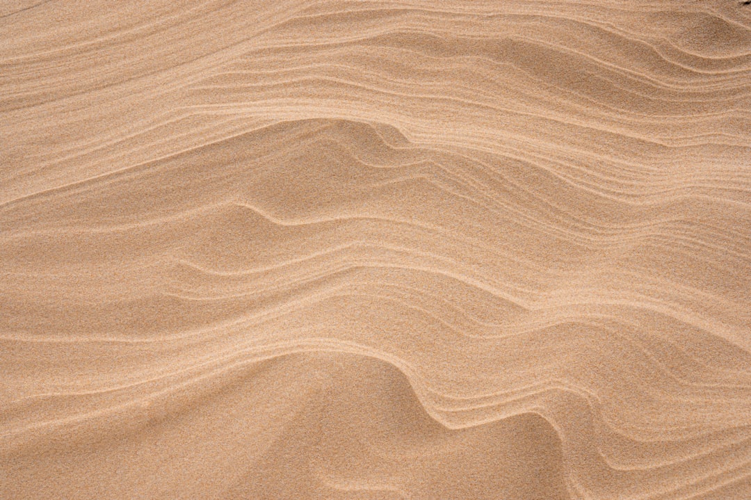 Services Curvy structure made from sand and wind